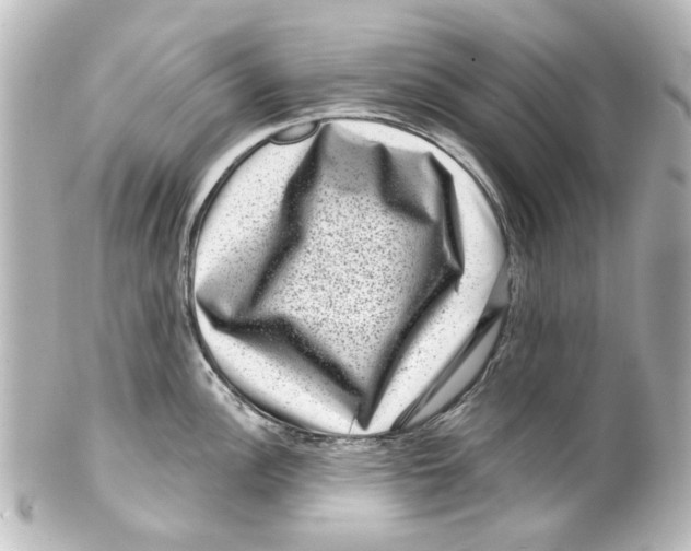 X0000100211148200806271658