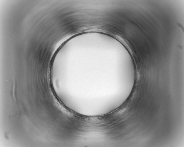 X0000100211149200806271658