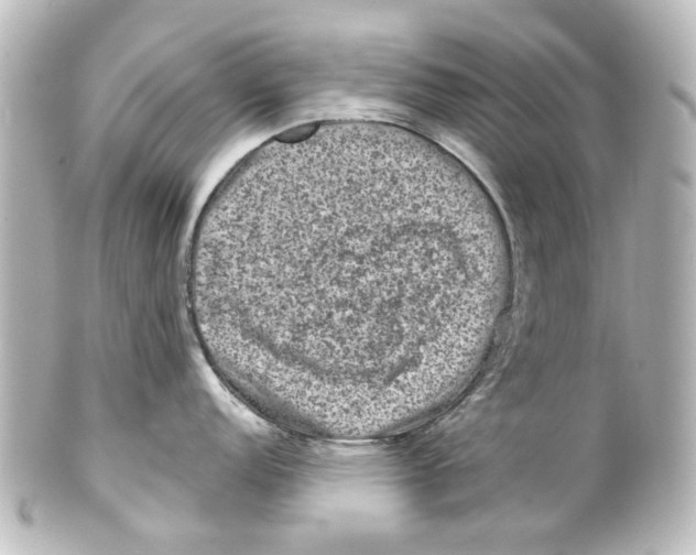 X0000100211152200806271658