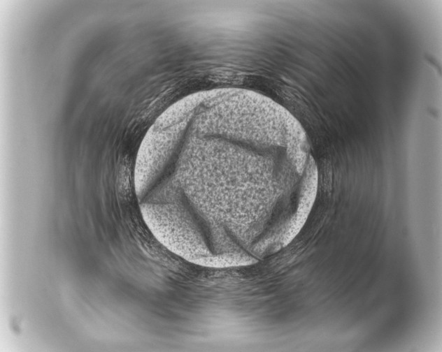X0000100211154200806271658