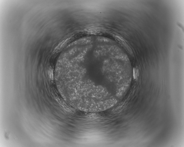 X0000100211155200806271658