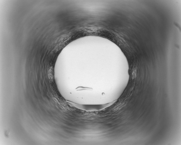 X0000100211156200806271658