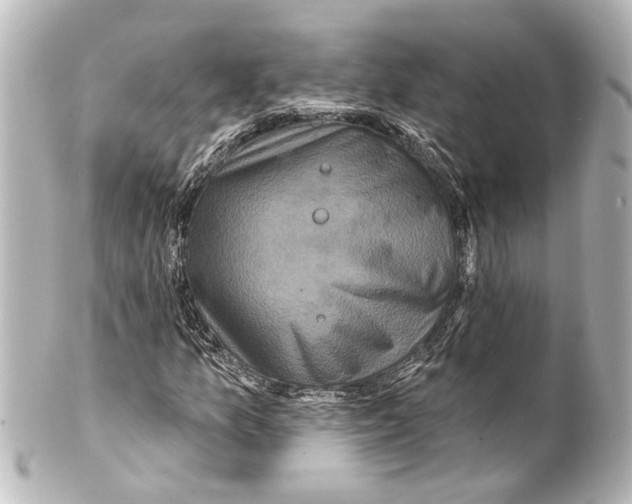 X0000100211157200806271658
