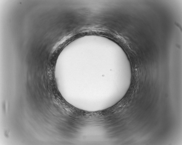 X0000100211159200806271658