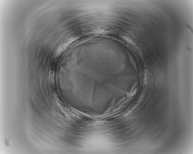 X0000100211161200806271658