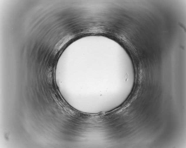X0000100211162200806271658