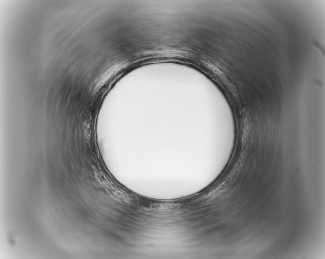 X0000100211163200806271658