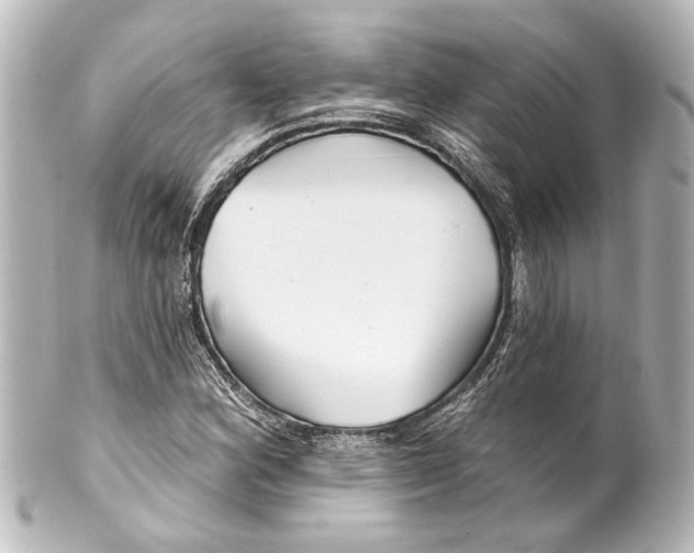 X0000100211164200806271658