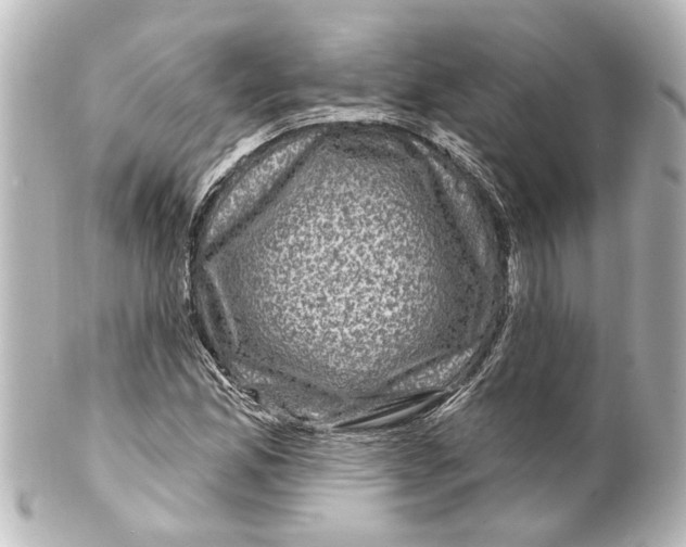 X0000100211165200806271658