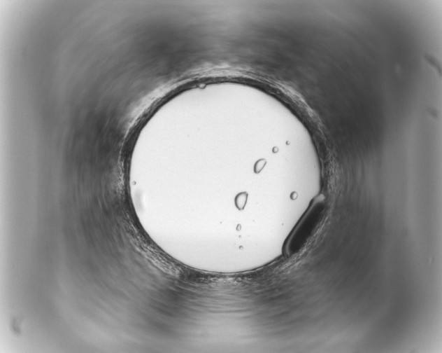 X0000100211167200806271658