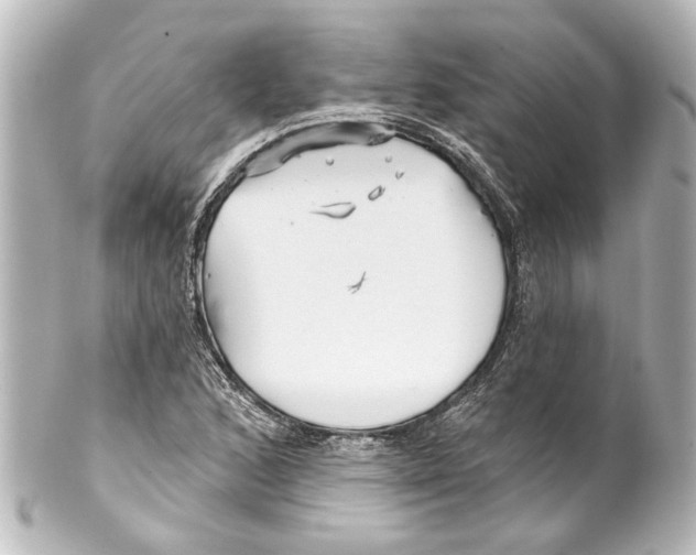 X0000100211168200806271658