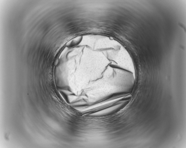 X0000100211170200806271657