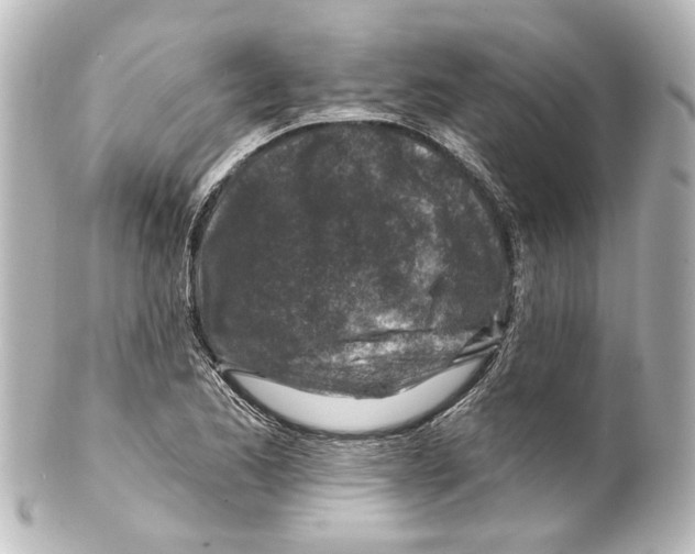 X0000100211173200806271657