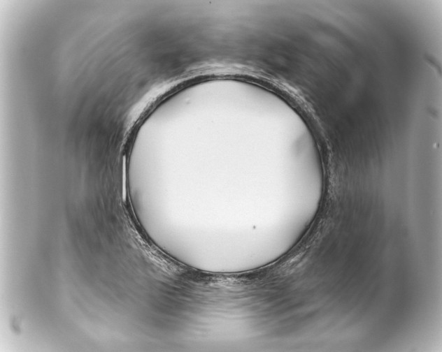 X0000100211175200806271657
