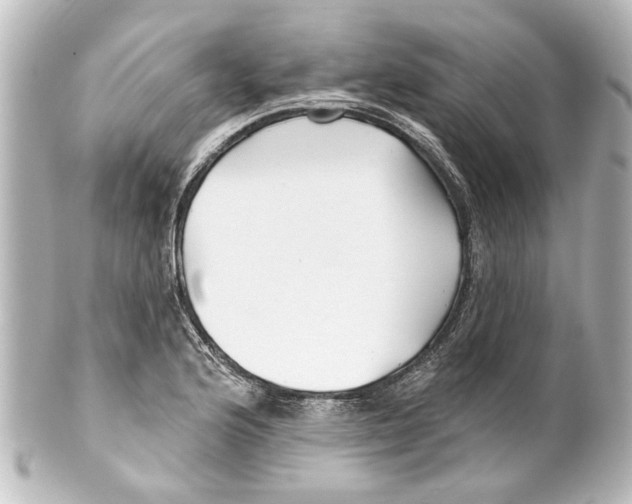 X0000100211176200806271657