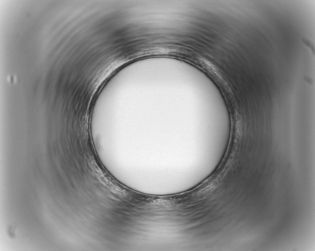 X0000100211178200806271657