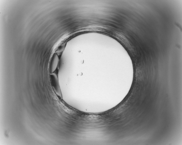 X0000100211180200806271657