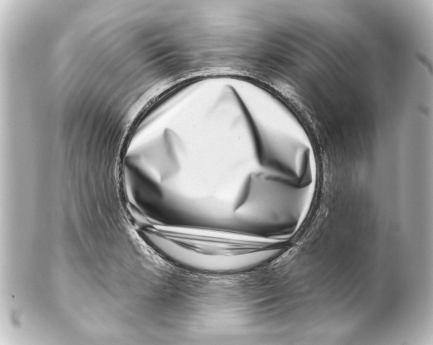 X0000100211181200806271657
