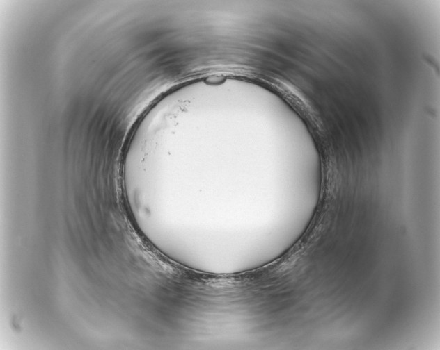 X0000100211182200806271657