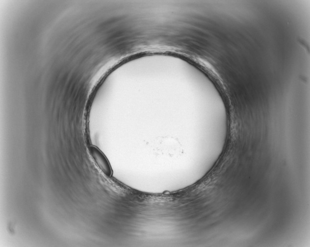X0000100211183200806271657