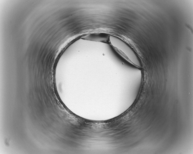 X0000100211184200806271657