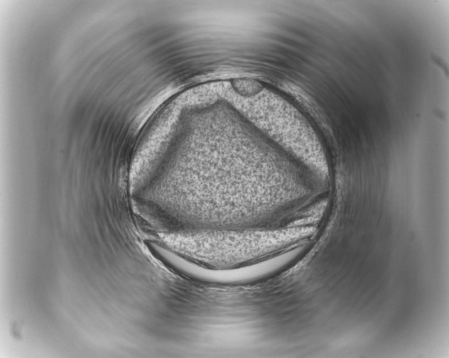 X0000100211185200806271657