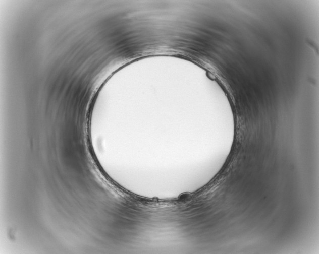 X0000100211187200806271657