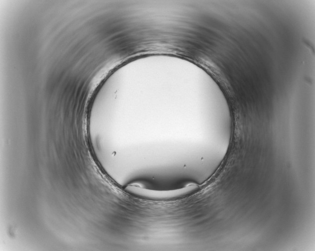 X0000100211188200806271657