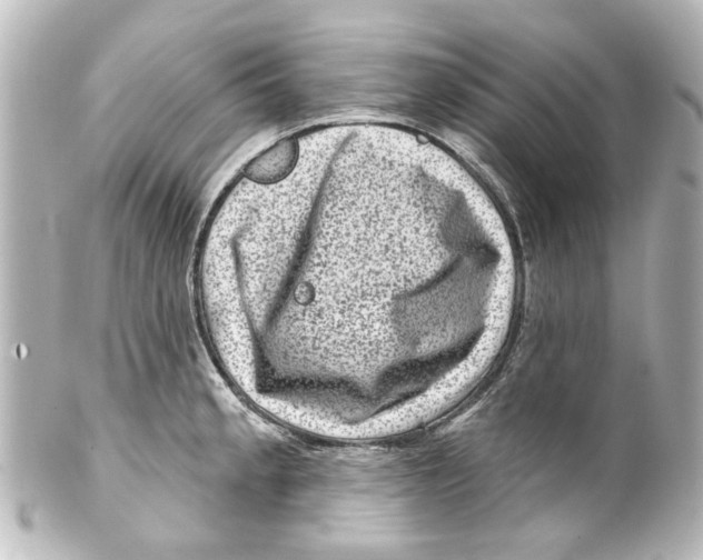 X0000100211189200806271657