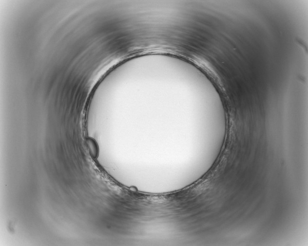 X0000100211190200806271657