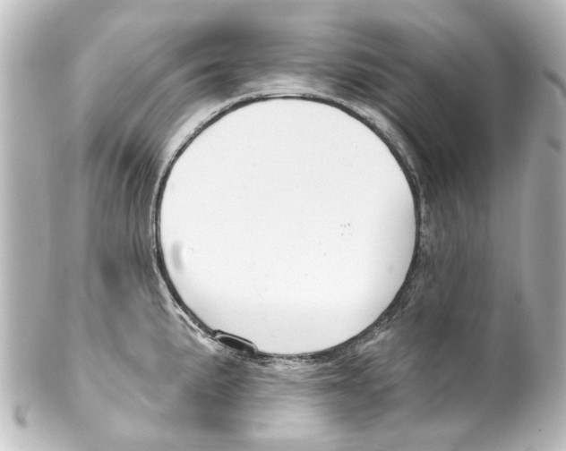X0000100211191200806271657