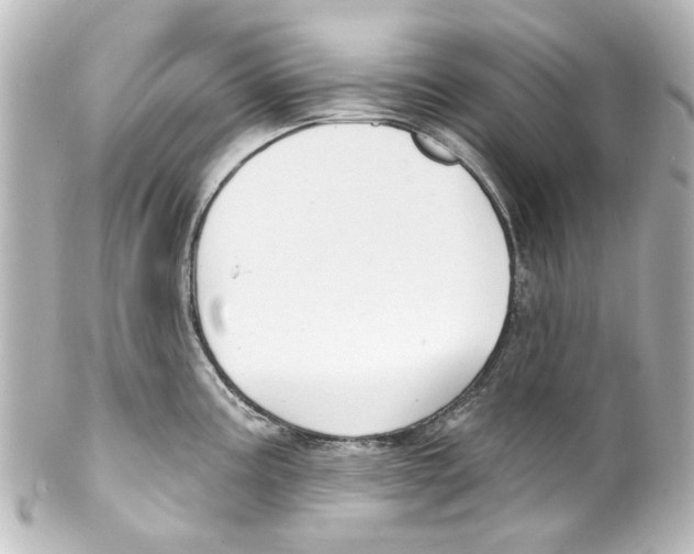X0000100211195200806271657