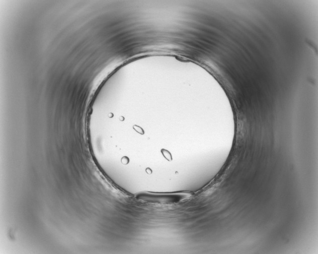 X0000100211196200806271657