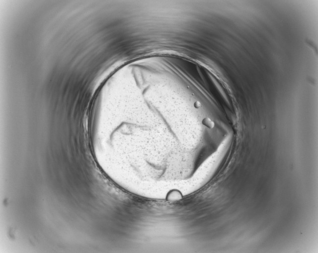 X0000100211198200806271657