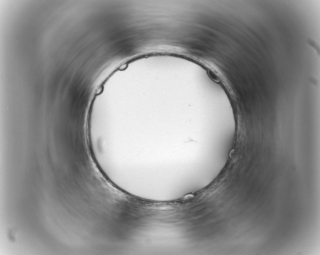 X0000100211199200806271657