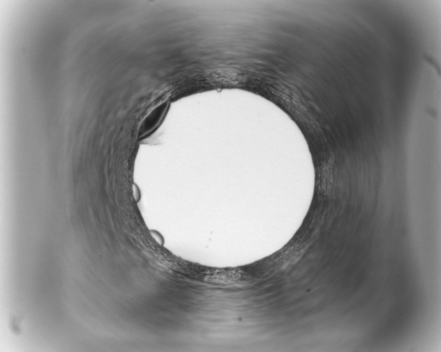X0000100211201200806271656