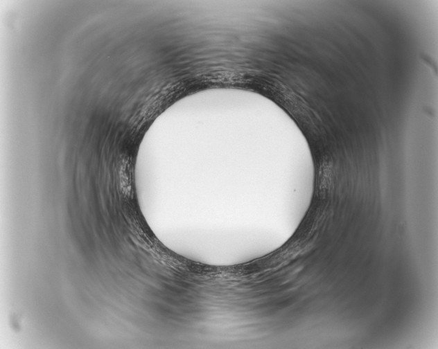 X0000100211202200806271656