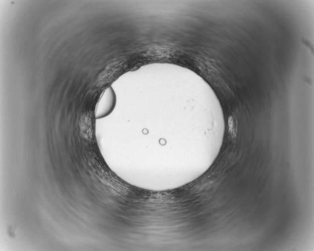 X0000100211203200806271656
