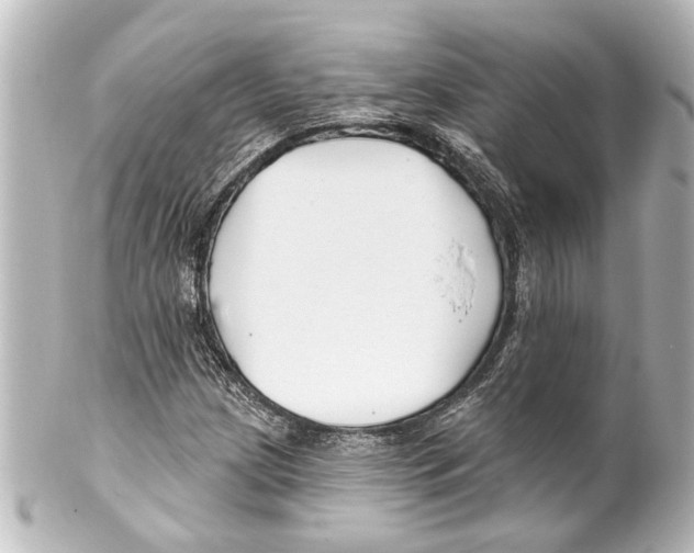 X0000100211209200806271656