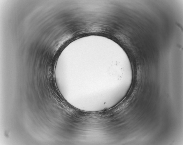 X0000100211210200806271656