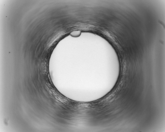 X0000100211211200806271656
