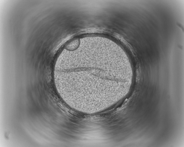 X0000100211213200806271656