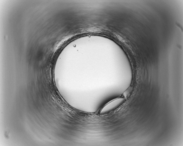 X0000100211214200806271656