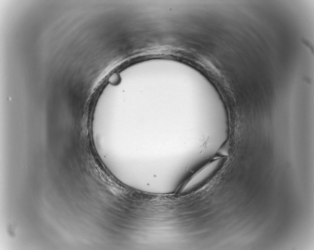 X0000100211216200806271656