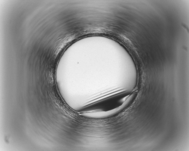 X0000100211218200806271656