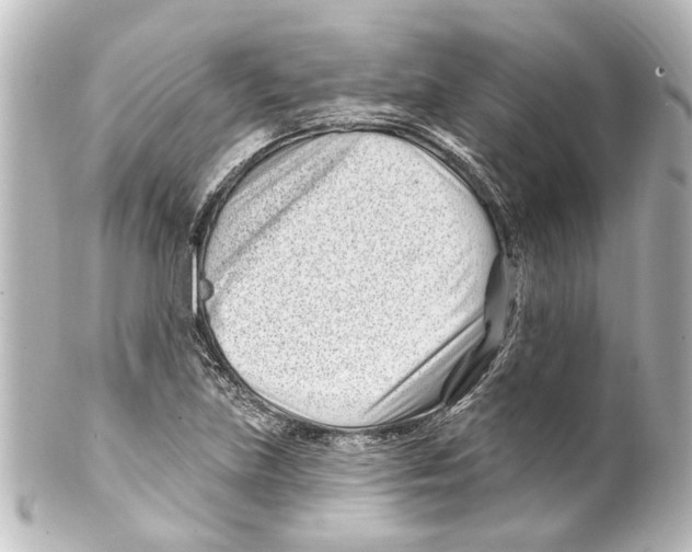 X0000100211219200806271656