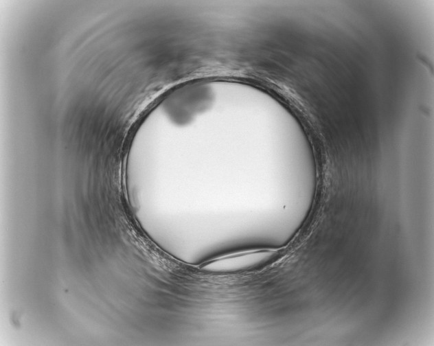 X0000100211220200806271656
