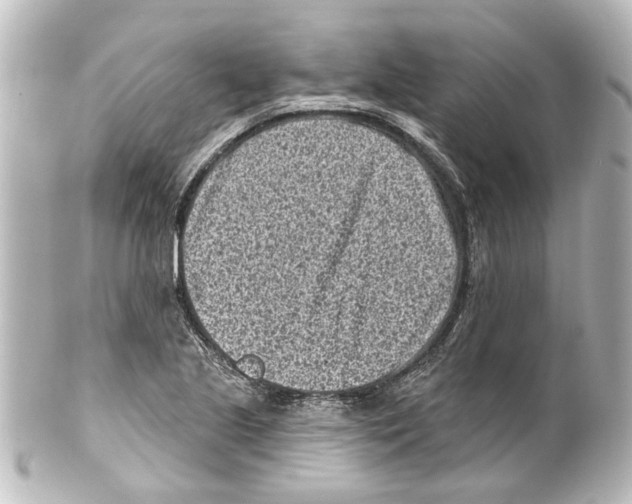 X0000100211221200806271657