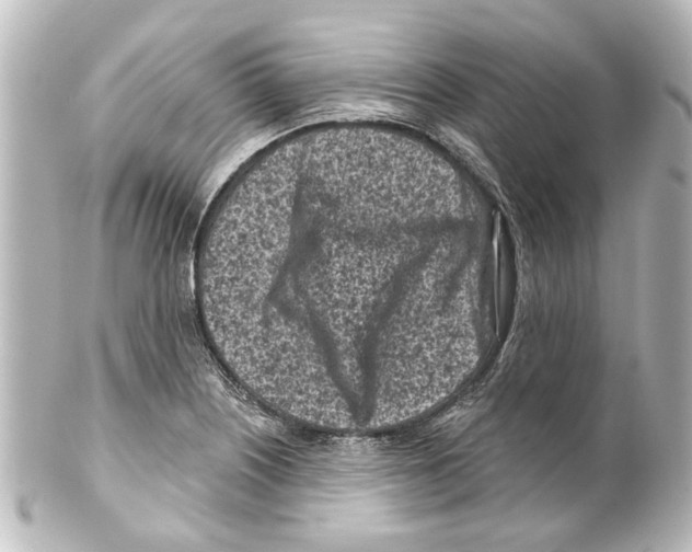 X0000100211226200806271657