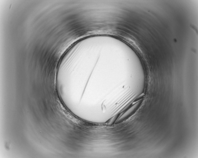 X0000100211228200806271657